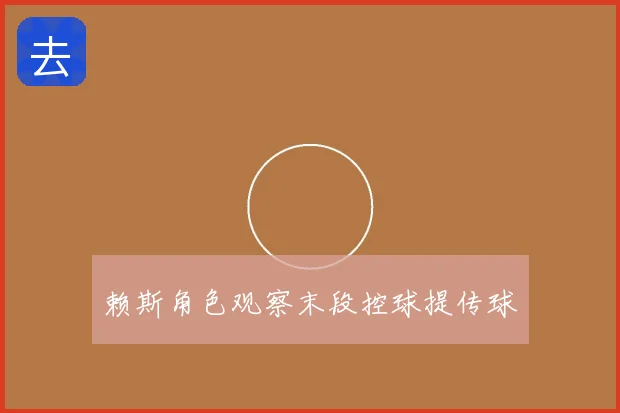 赖斯角色观察末段控球提传球