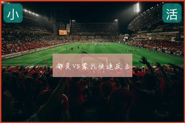 都灵vs蒙扎快速反击